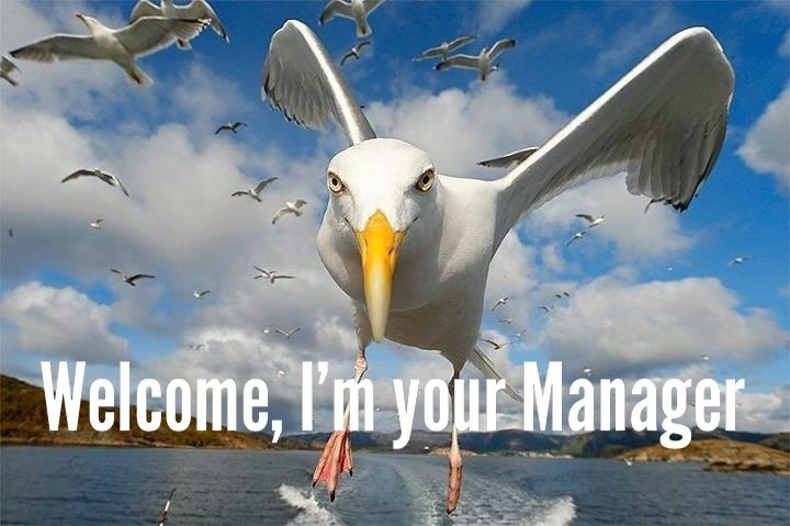 Фотография поста